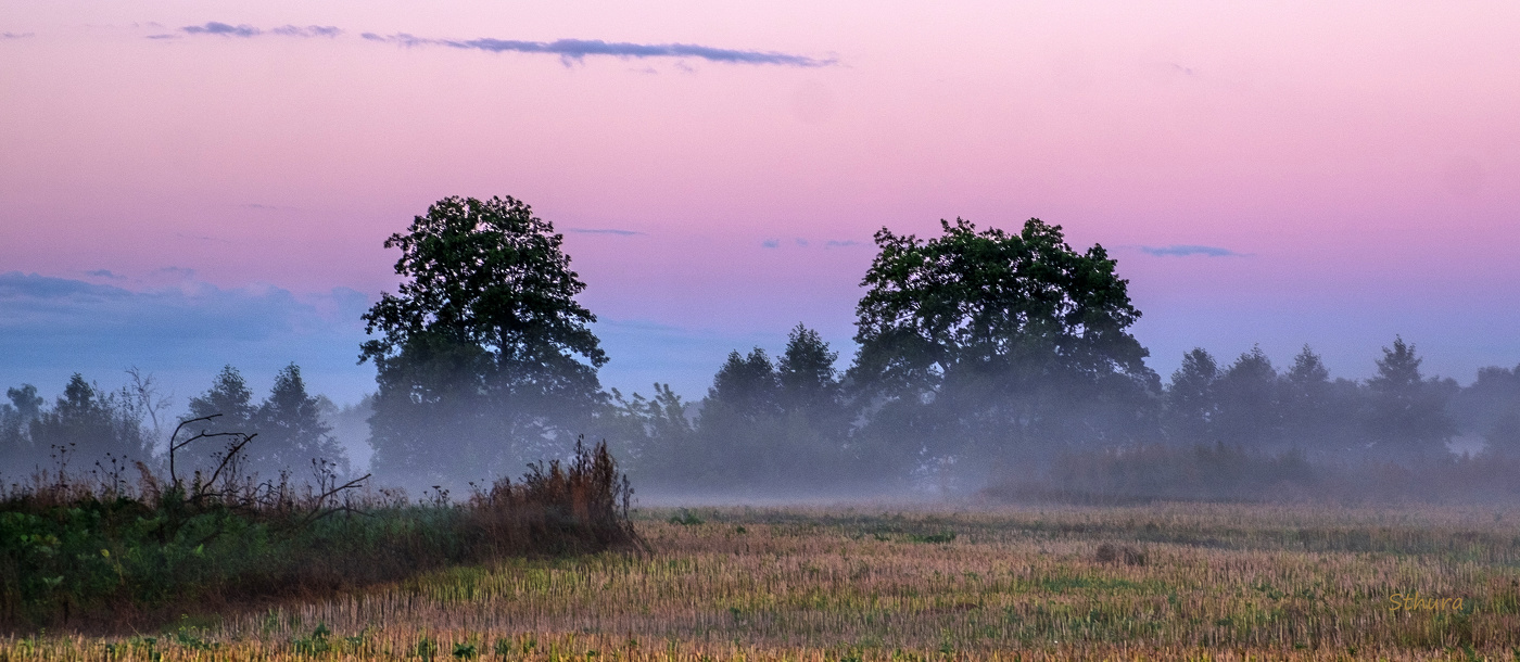 Розовый рассвет.