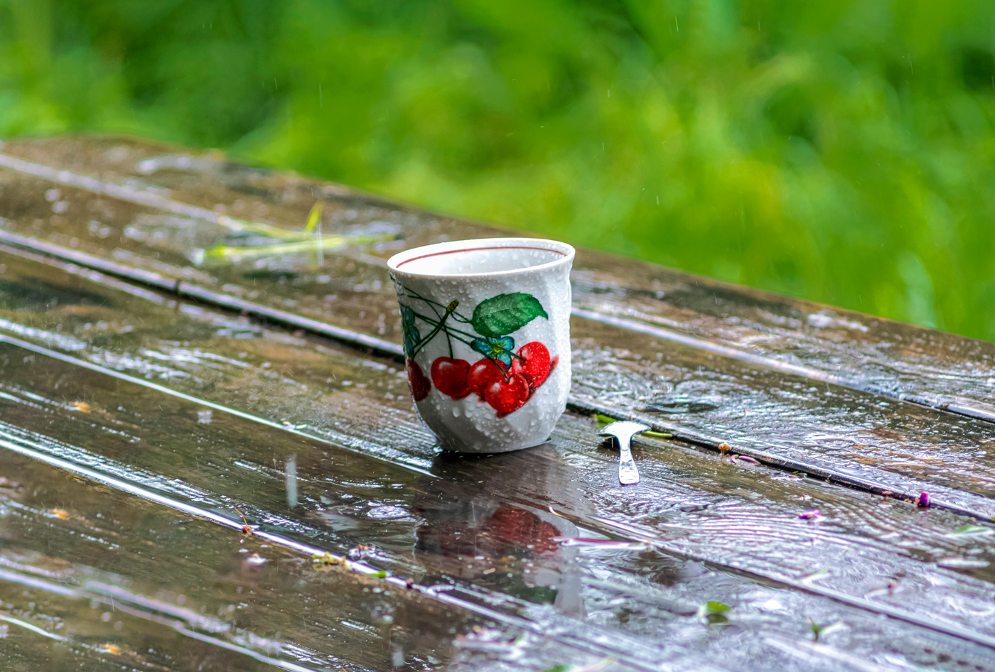 Натюрморт с дождём