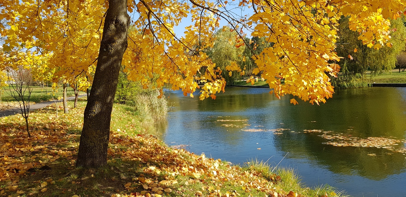 Золотое времечко...
