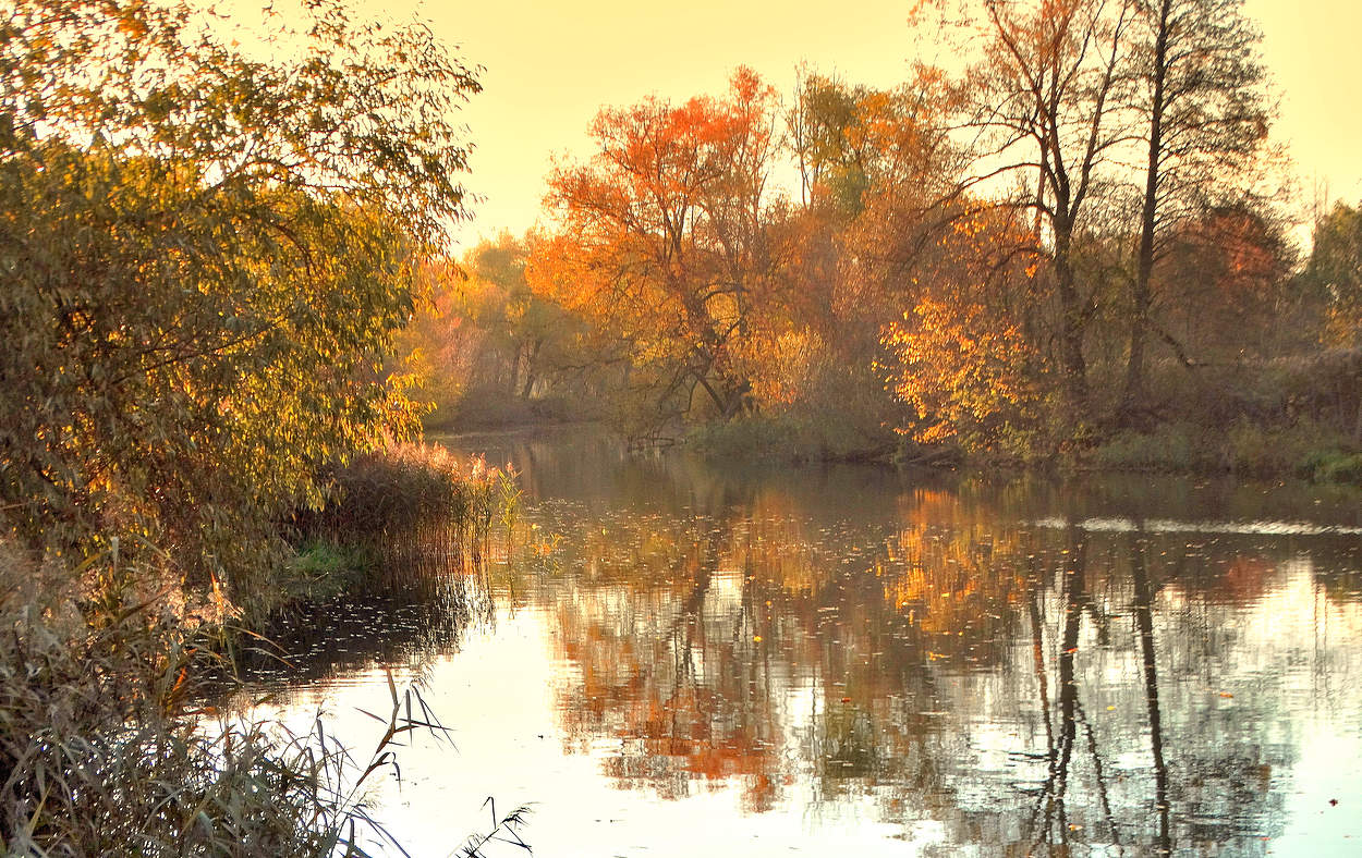 Осень в вечерней дымке