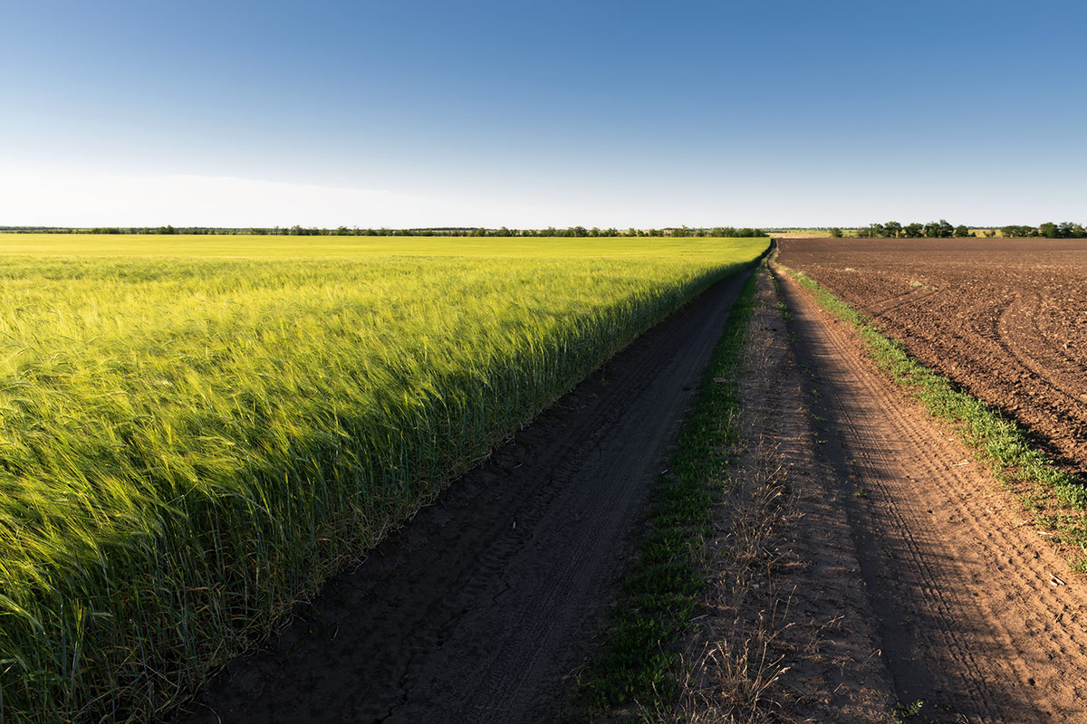 Ориентация - север