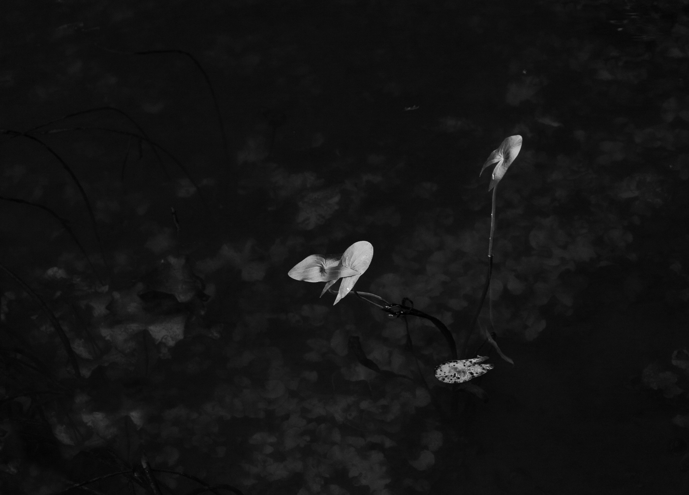 Состояние-5