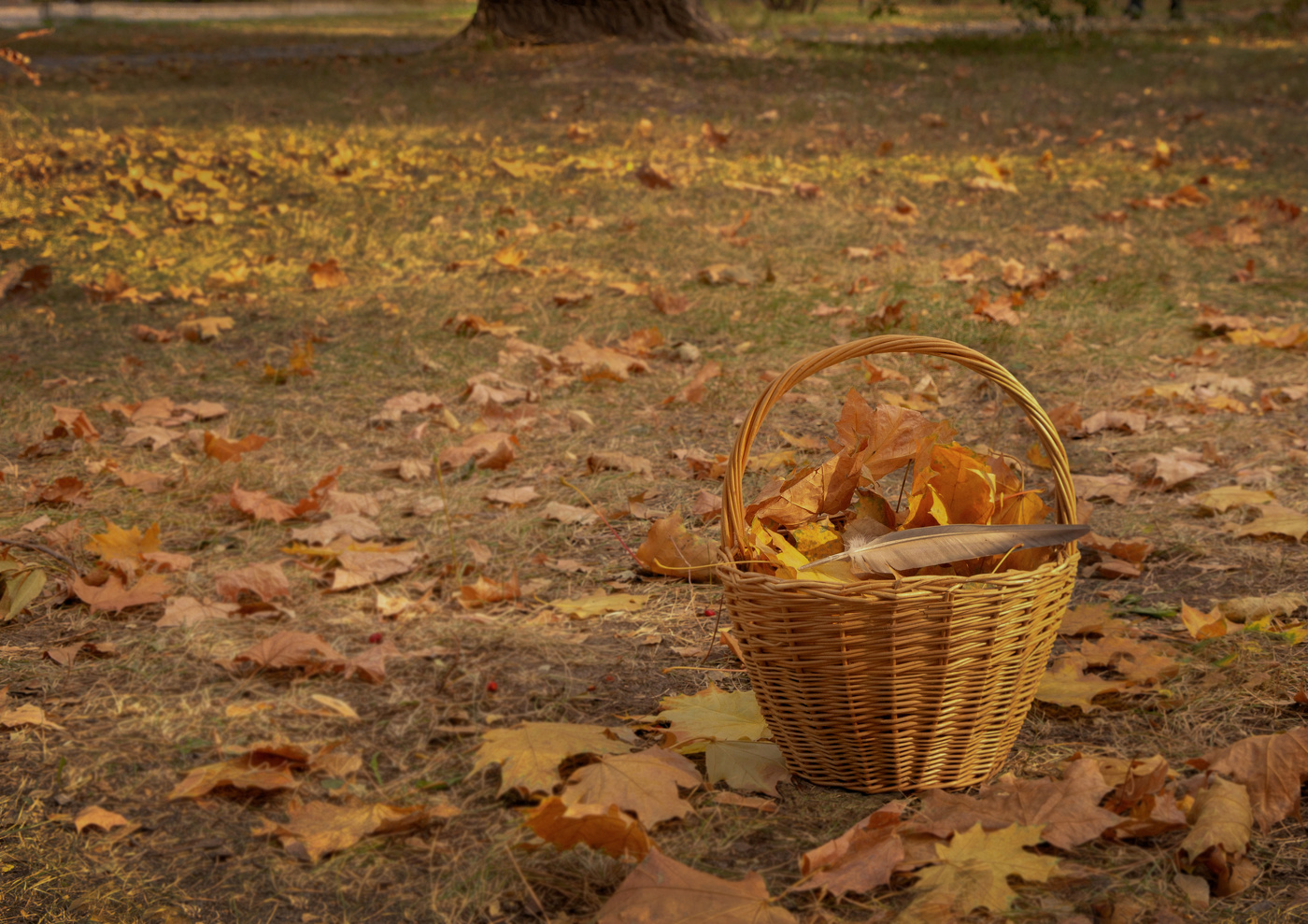 Стихи осени