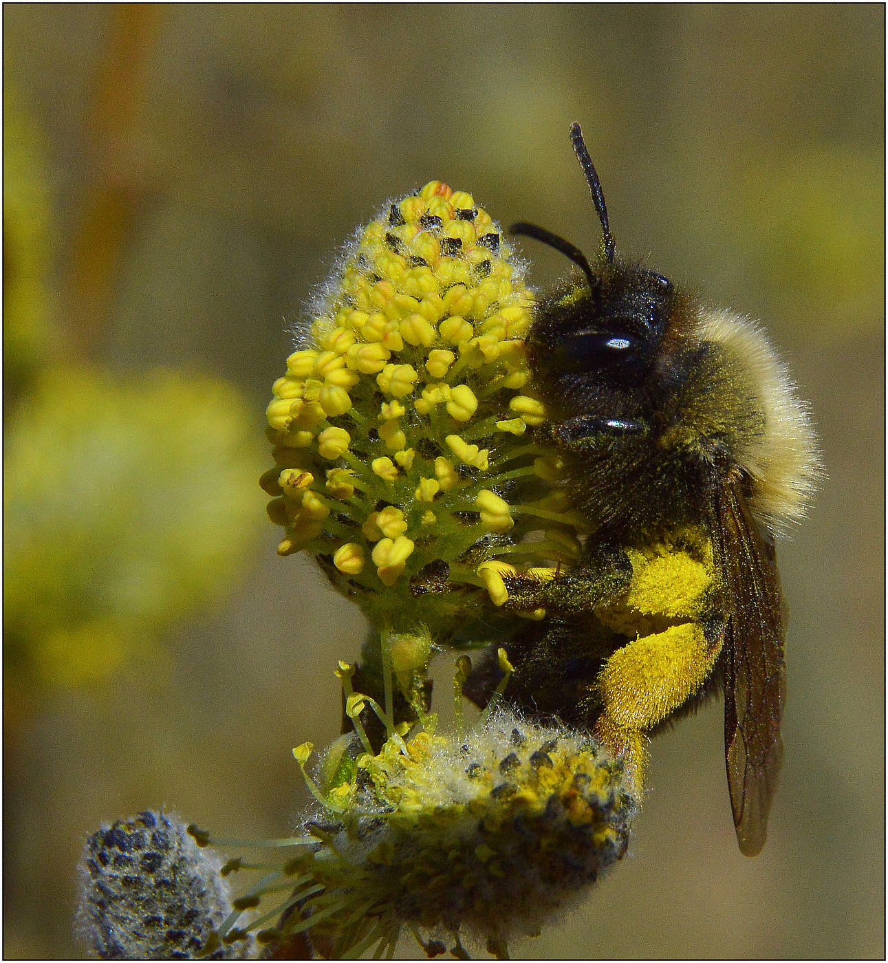 Яркое-яркое солнце.