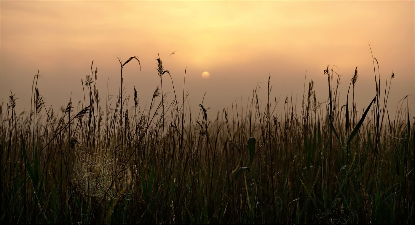 И тихо солнышко всходило...