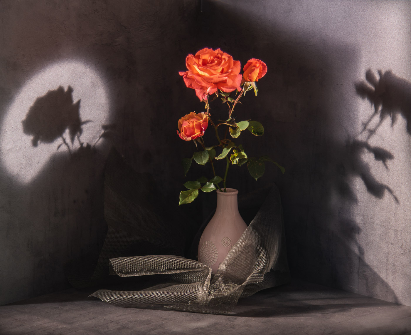 Этюд с розой