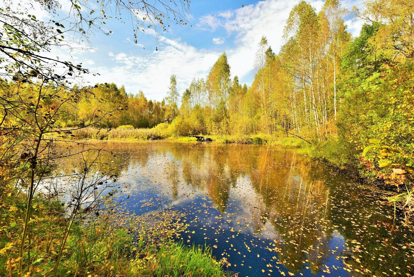 "Замри сентябрь на миг, я так хочу ..."