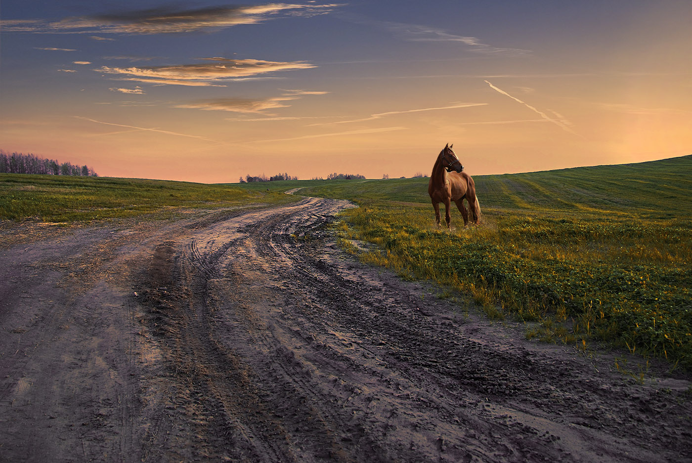 Эх, дорожки