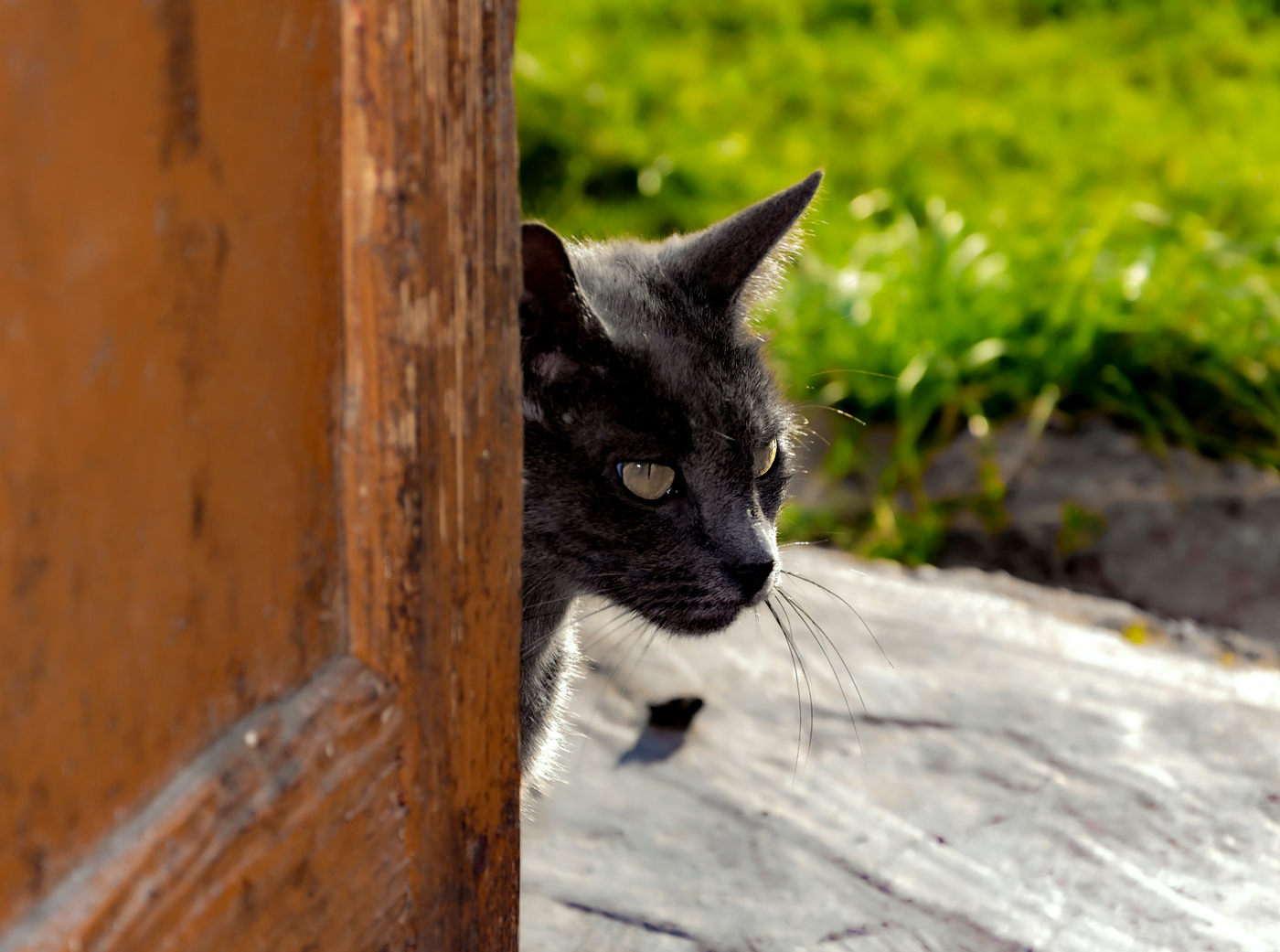 Я всё вижу...