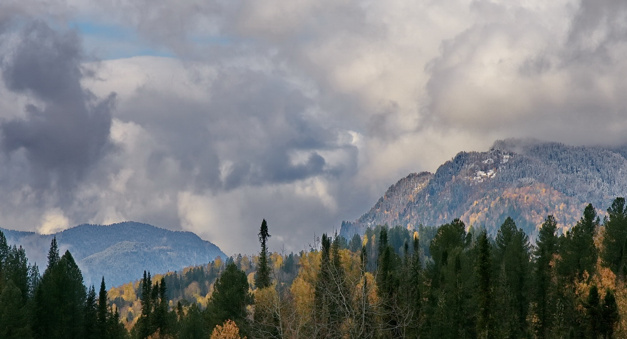 *Осенним днём.**