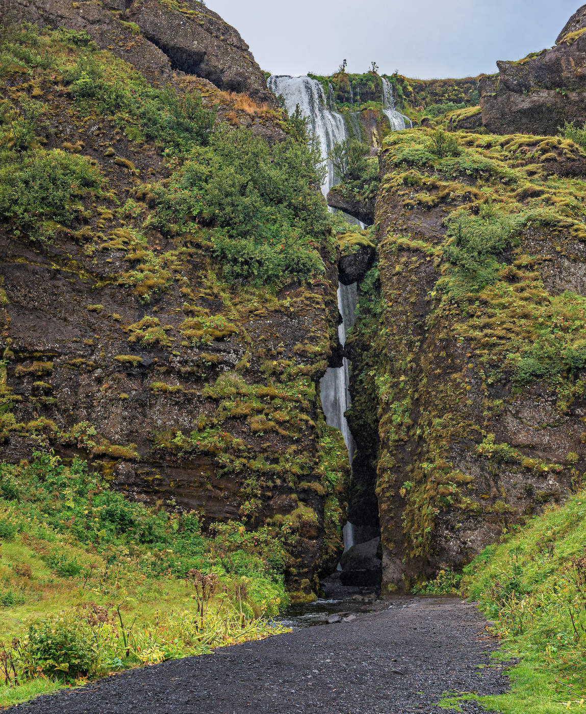 Не проходите мимо!