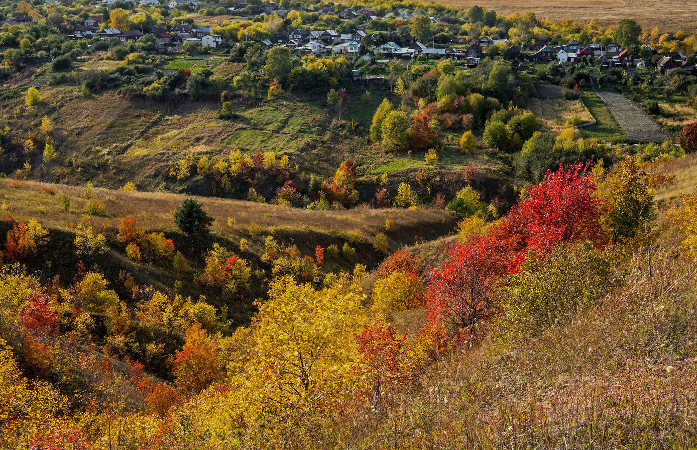 деревня Курочкино,Чувашия