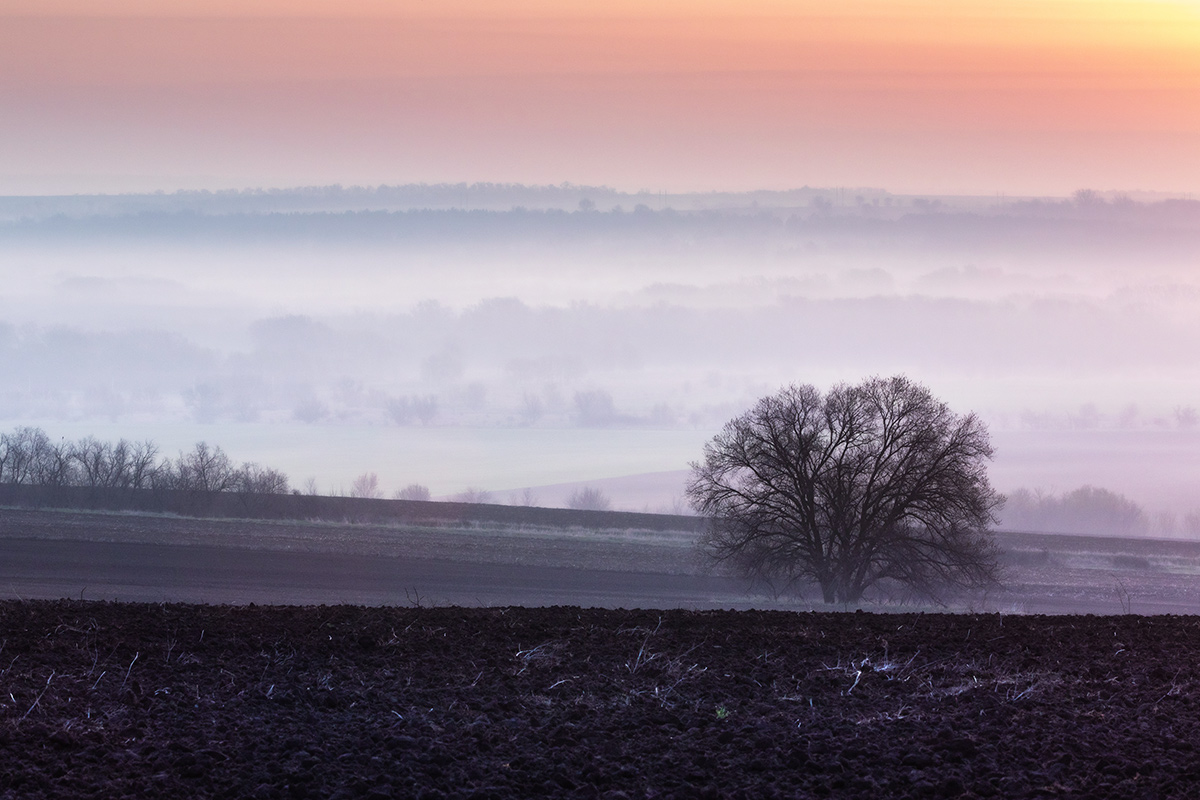 Дыхание земли