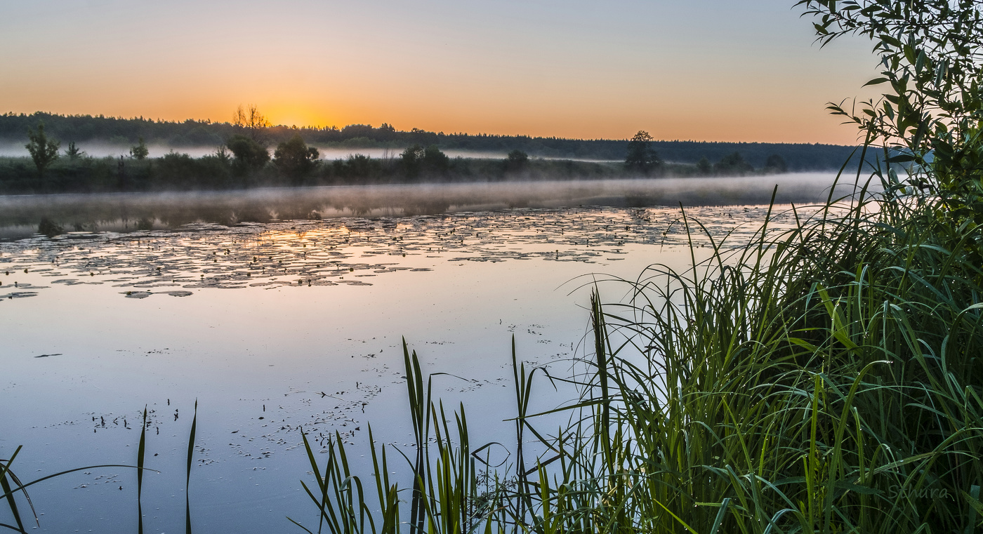 Летний рассвет. Озеро Сосновое.