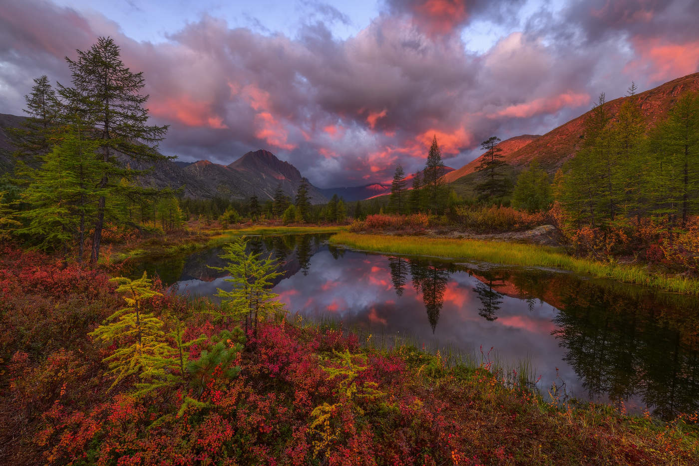 Краски осени.... Колымской осени...