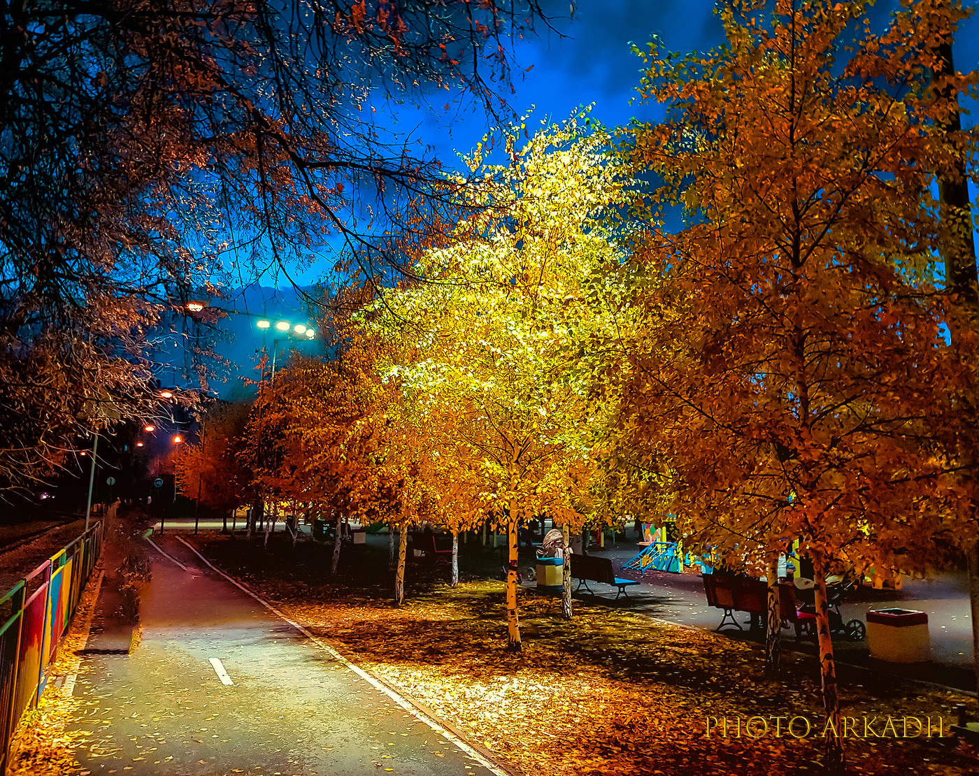 Вот и осень..