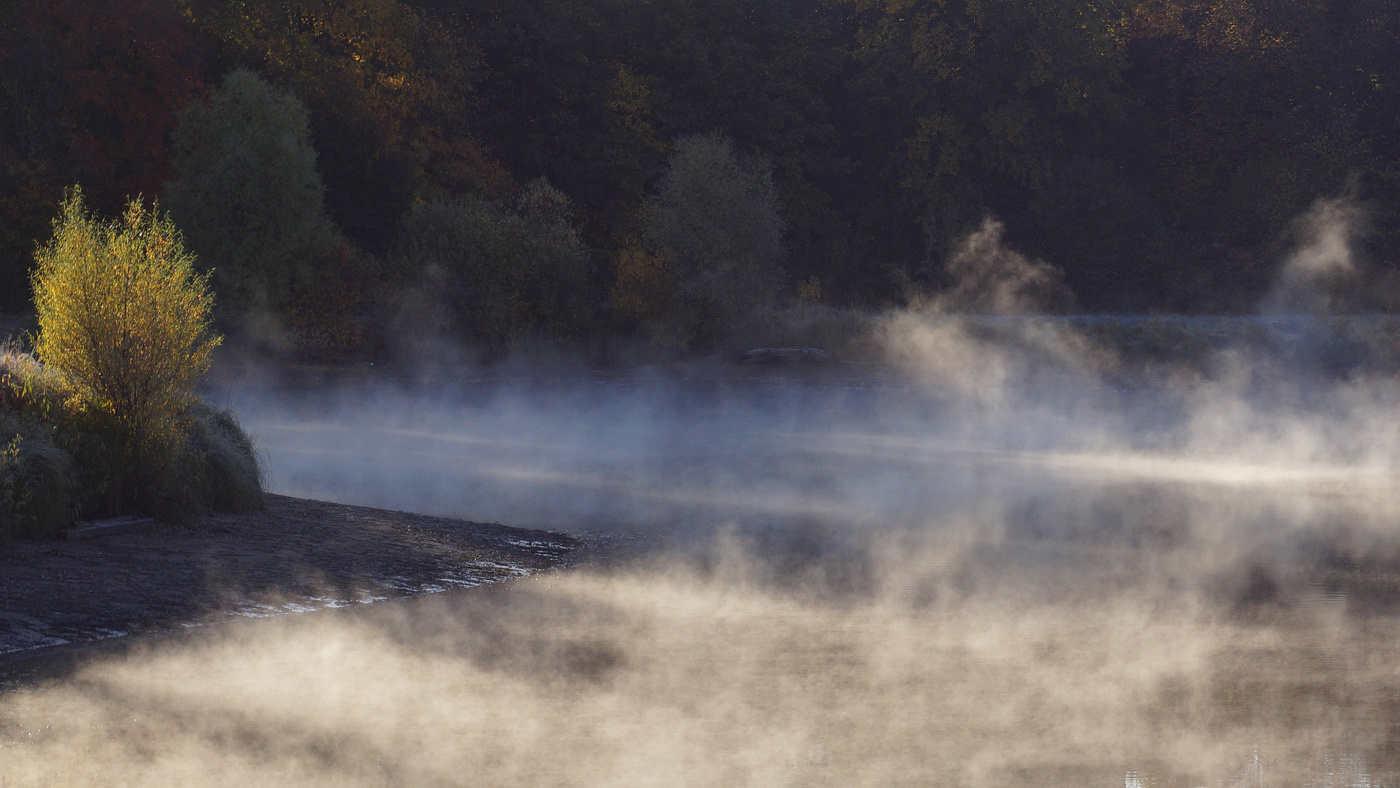 Осенние мотивы.