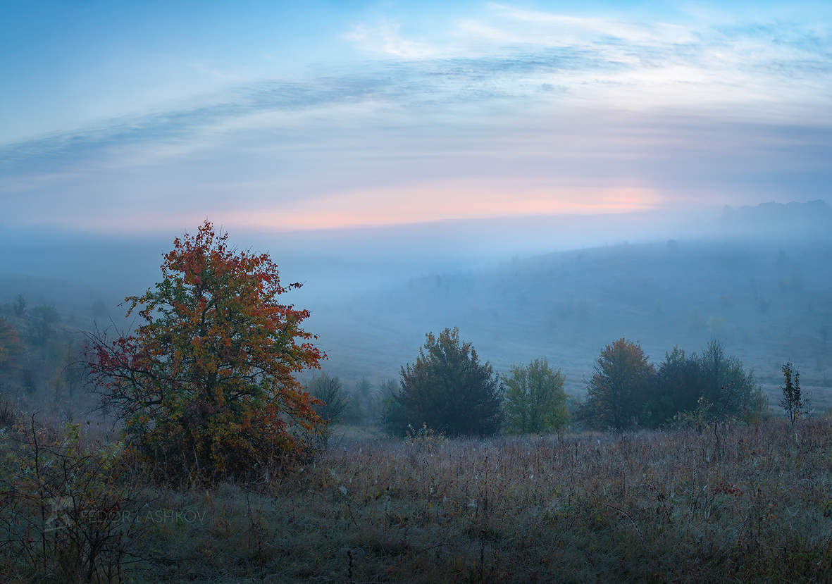 Туманная заря