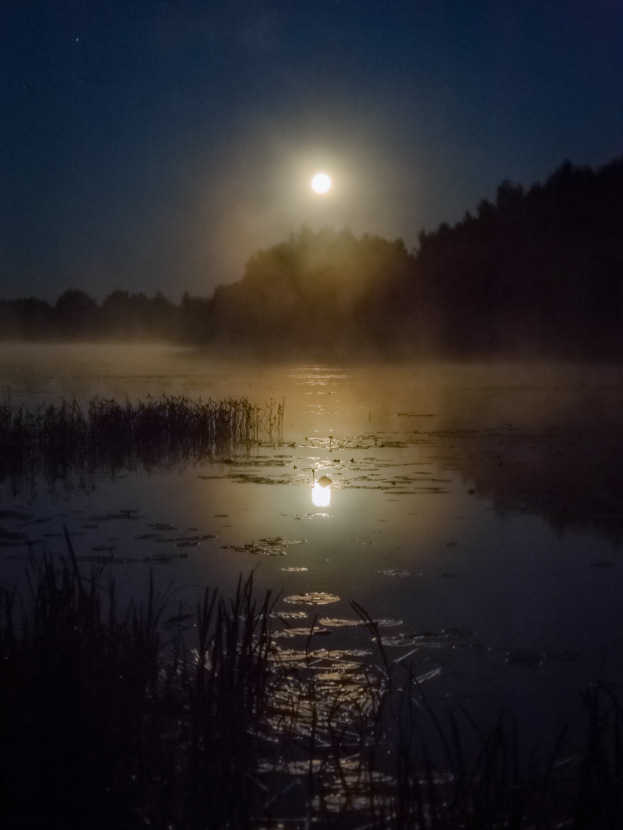 Время сказки про Водяного