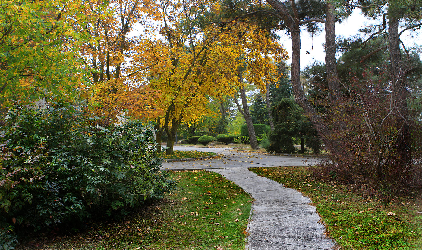 Парковая осень