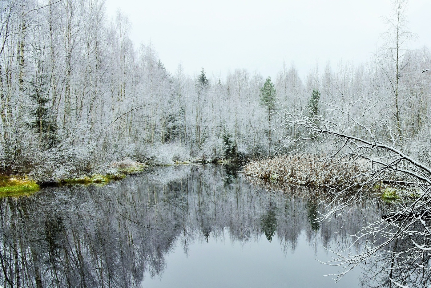 "Вы слышите, как пахнет тишиной ?..."