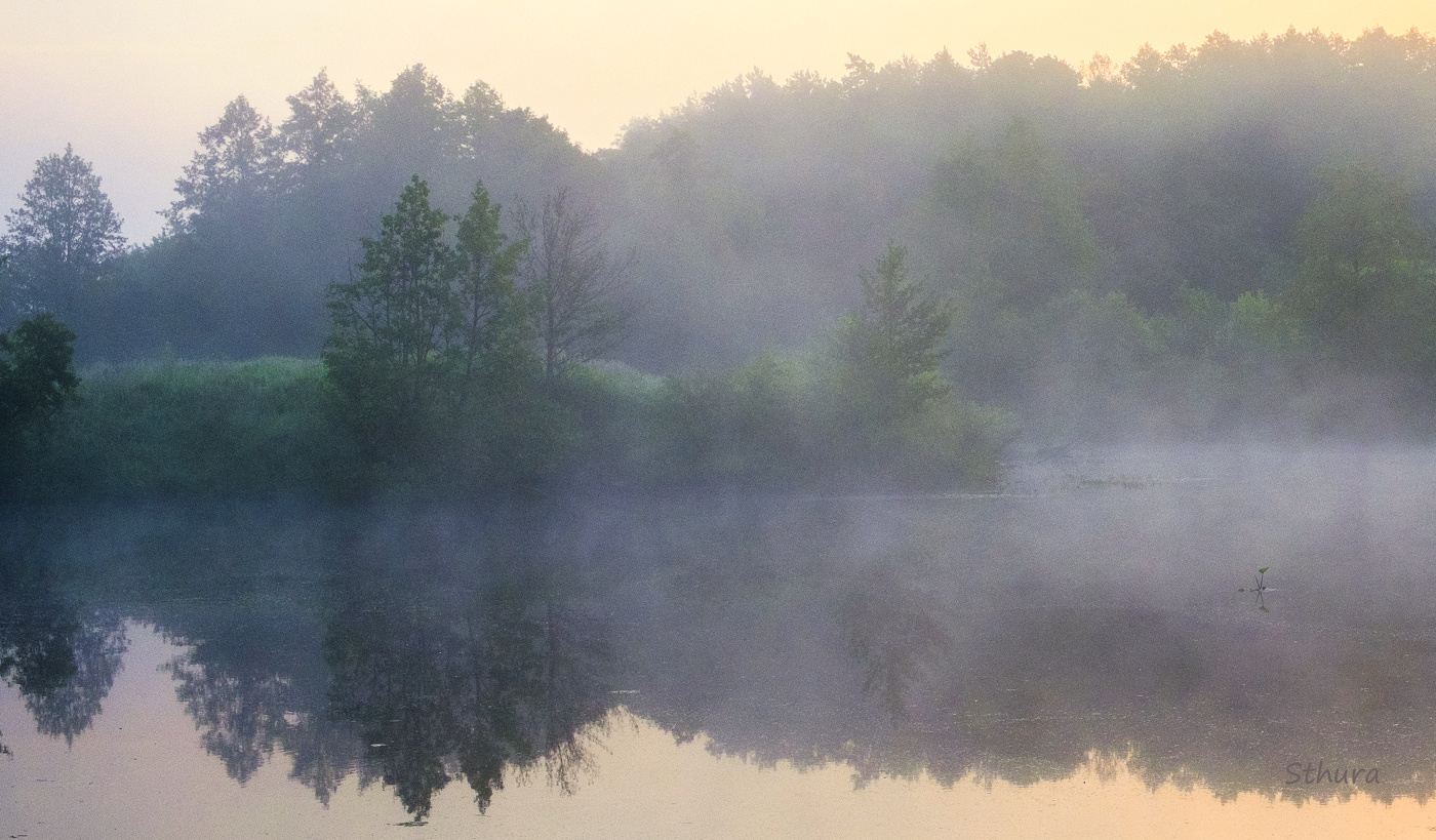 На озере туман.