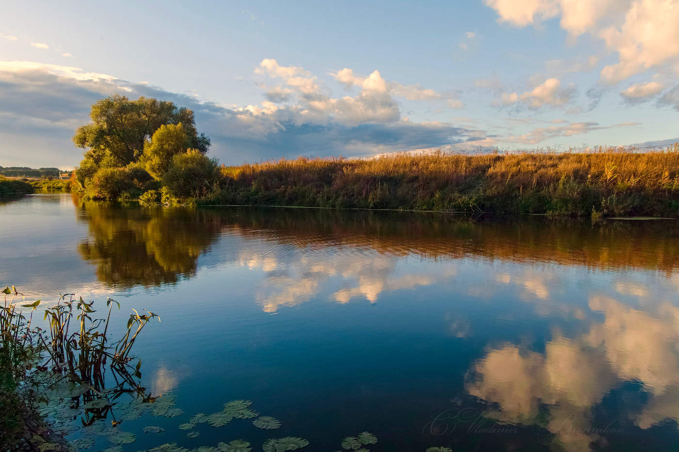 Здесь живут щуки
