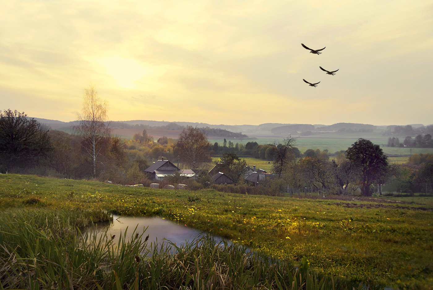 Как-то вечером