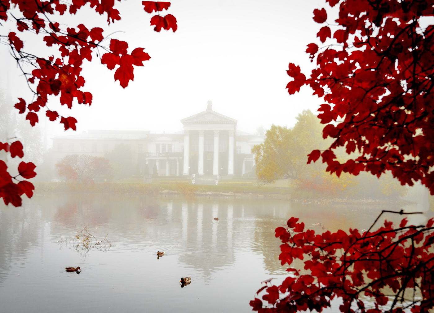 Утренние краски