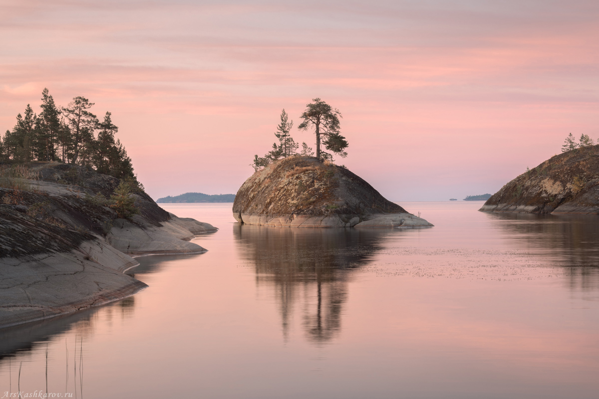 "Розовый кит"