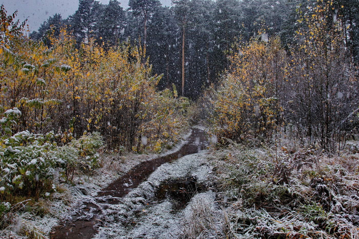 *Первый снег.**