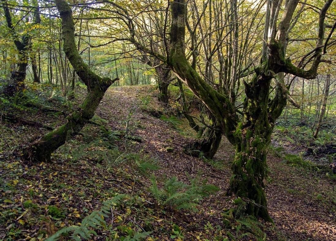 А вдоль дороги...