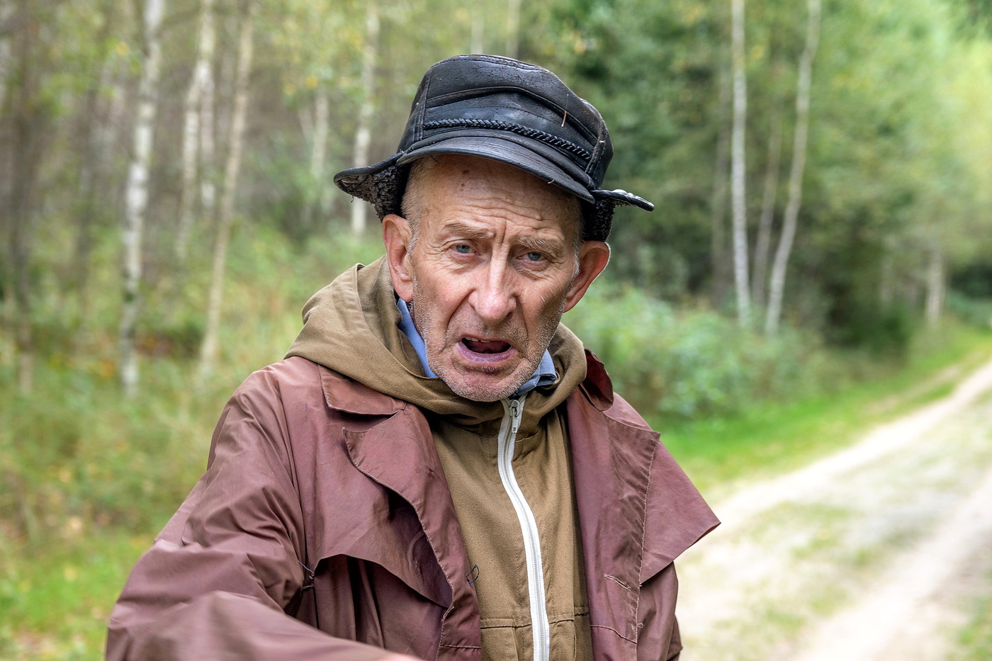 Встреча на лесной дороге.