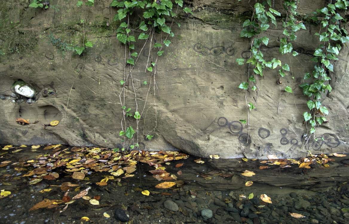 Осенние смотрины...