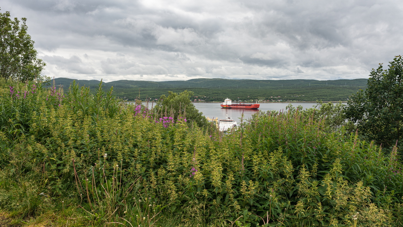 июльским днём