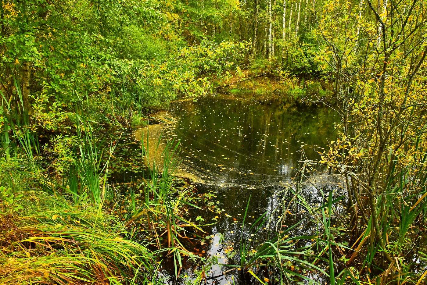 "Опять сентябрь, как тьму времен назад ..."