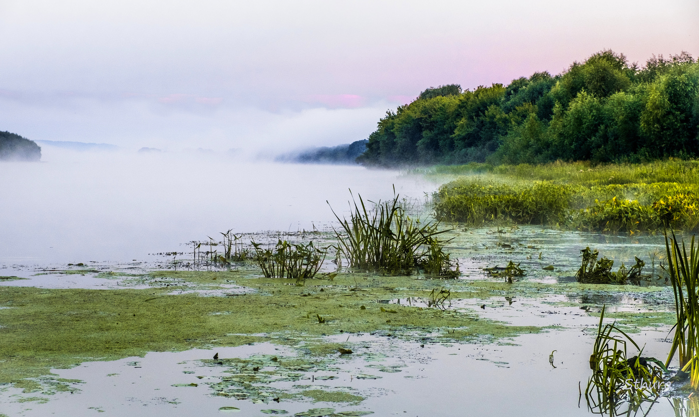 Утренний туман на Оке.