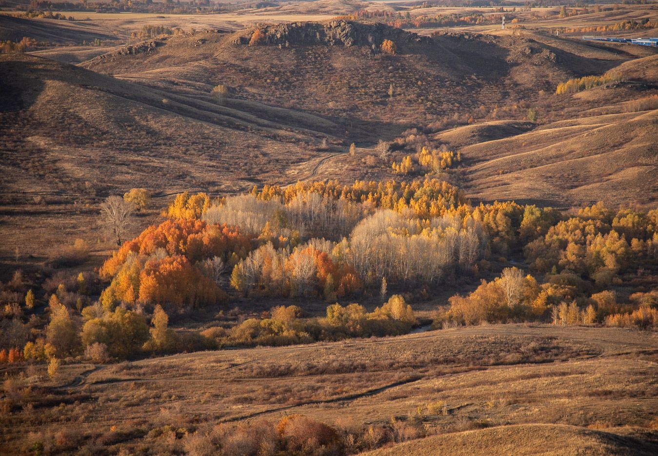 Рыжая осень
