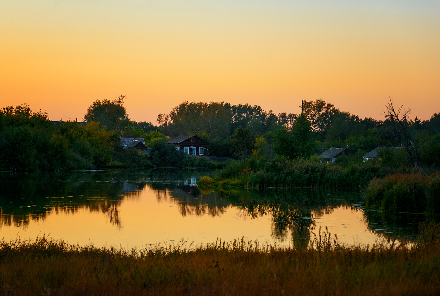 Сельский пруд...