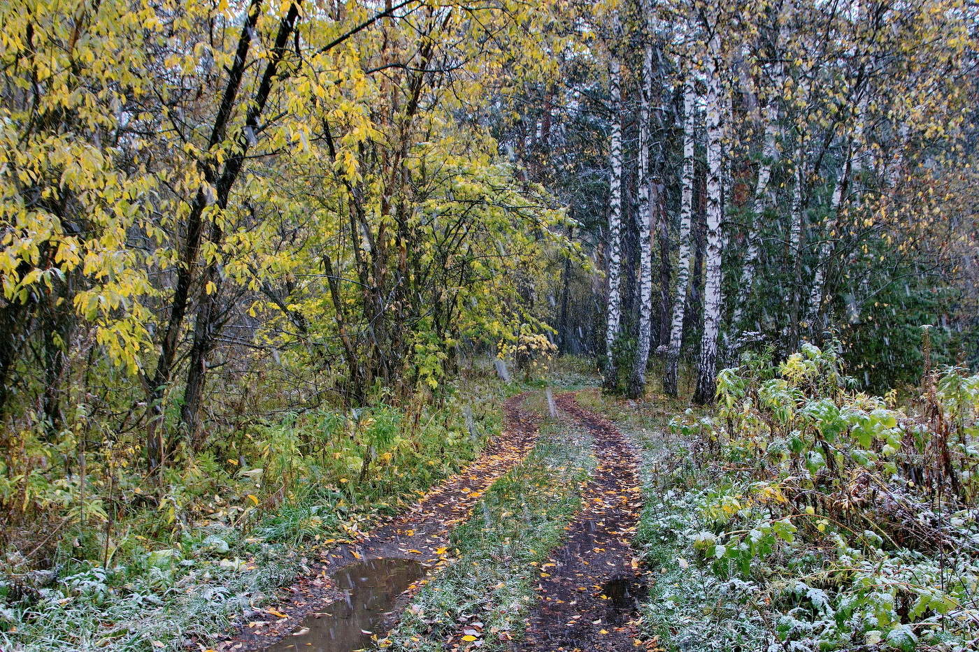 Осенний снег.
