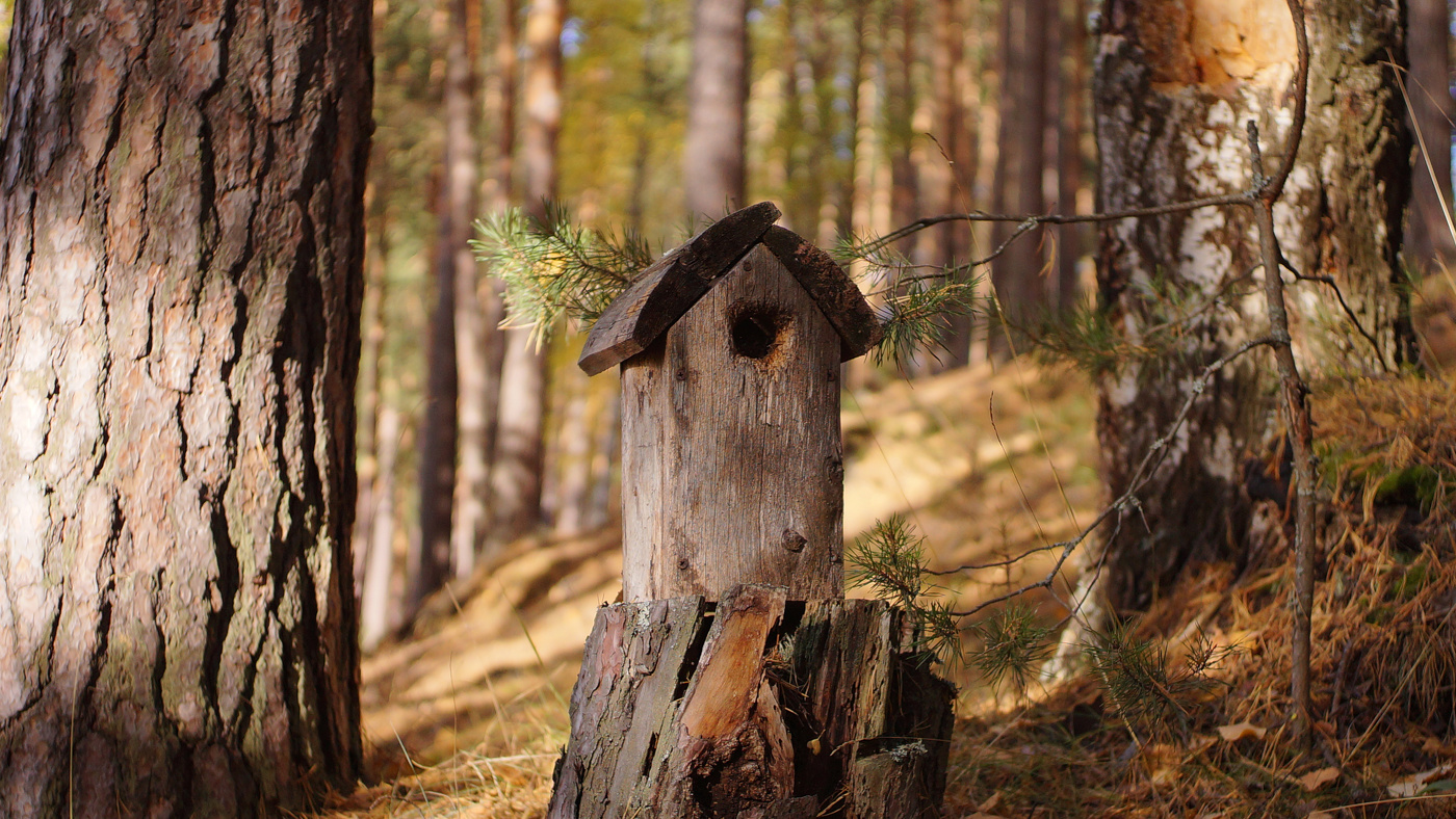 Старый дом.