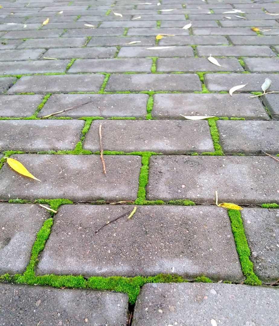 Осенняя сырость