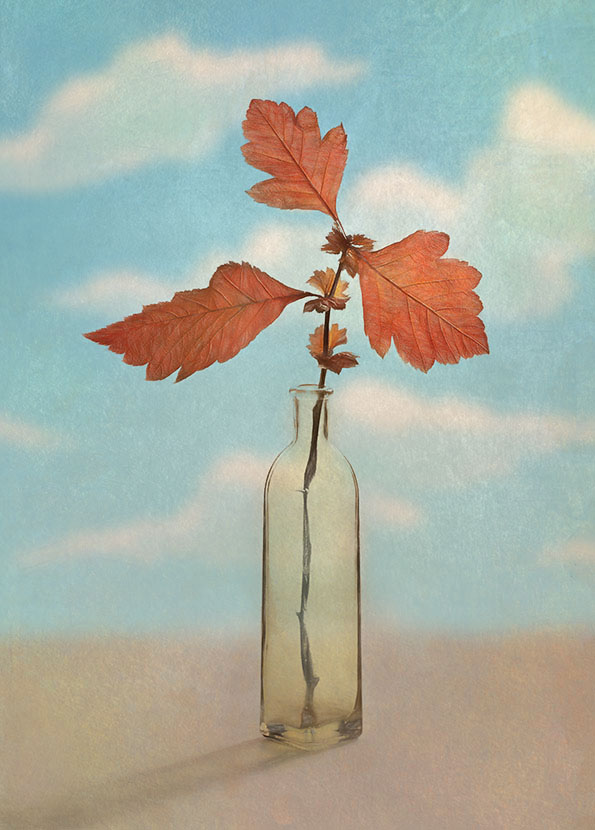 осенние листочки