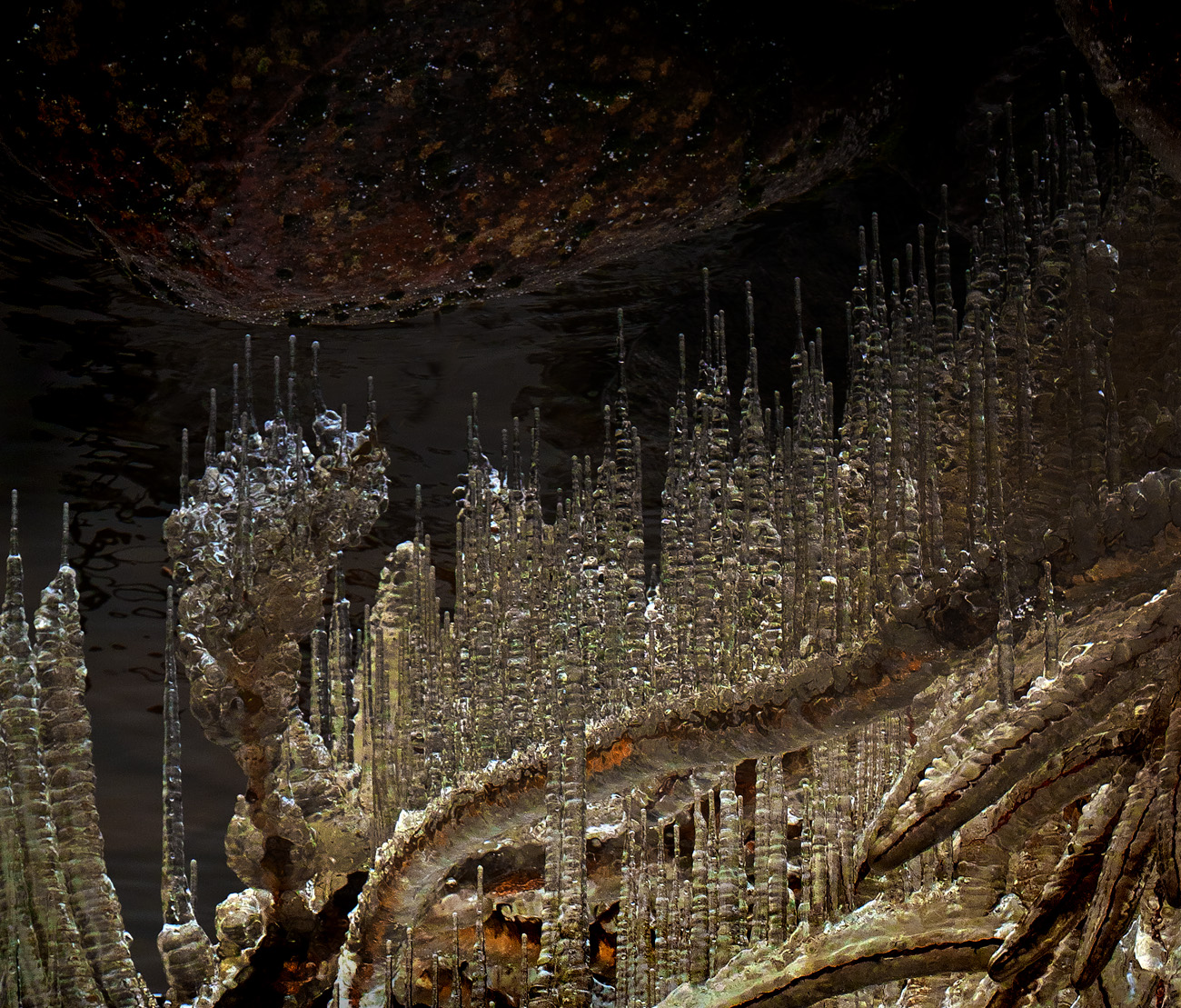 Хрустальный лес под кривой луной