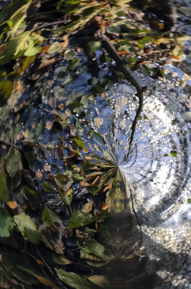 Осень лужи...