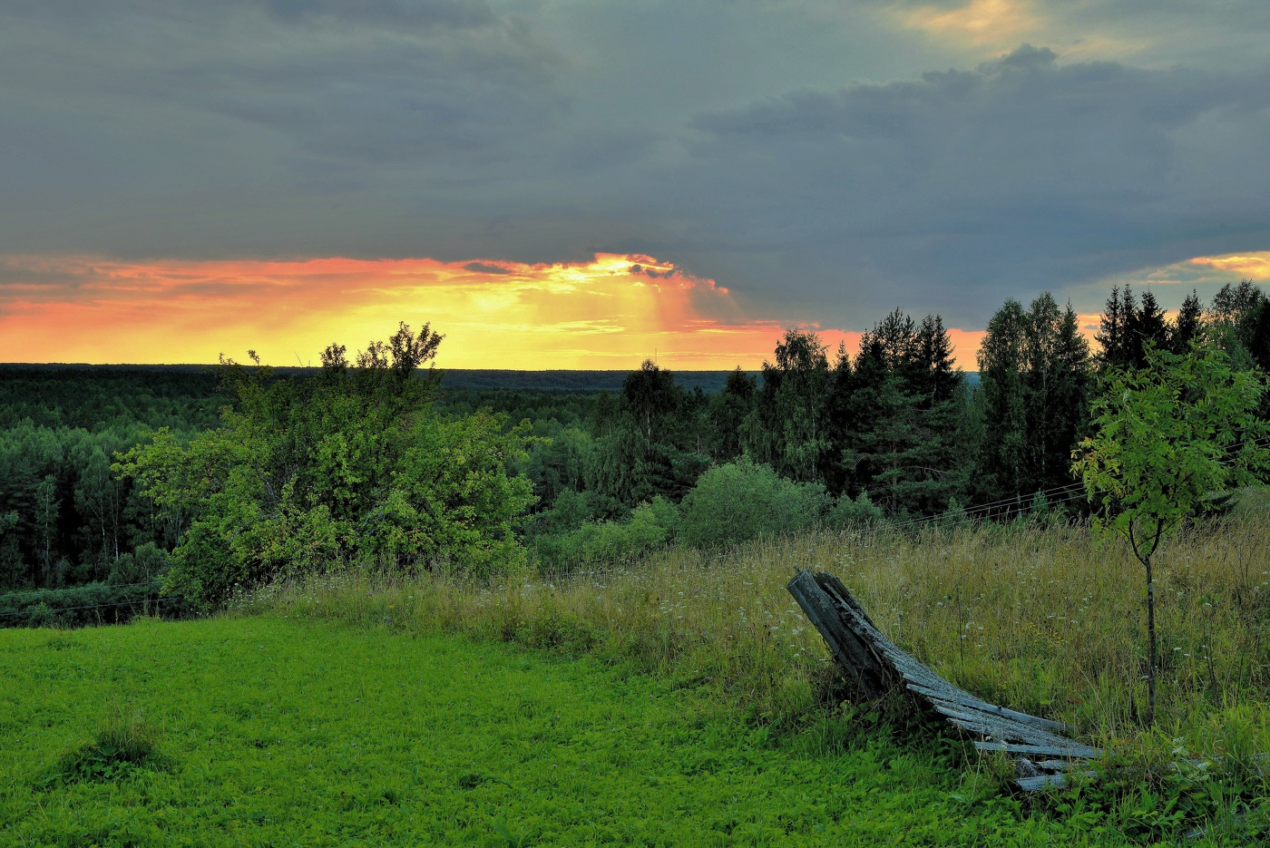 "Летний вечер, шаль на плечи и куда глаза глядят..."