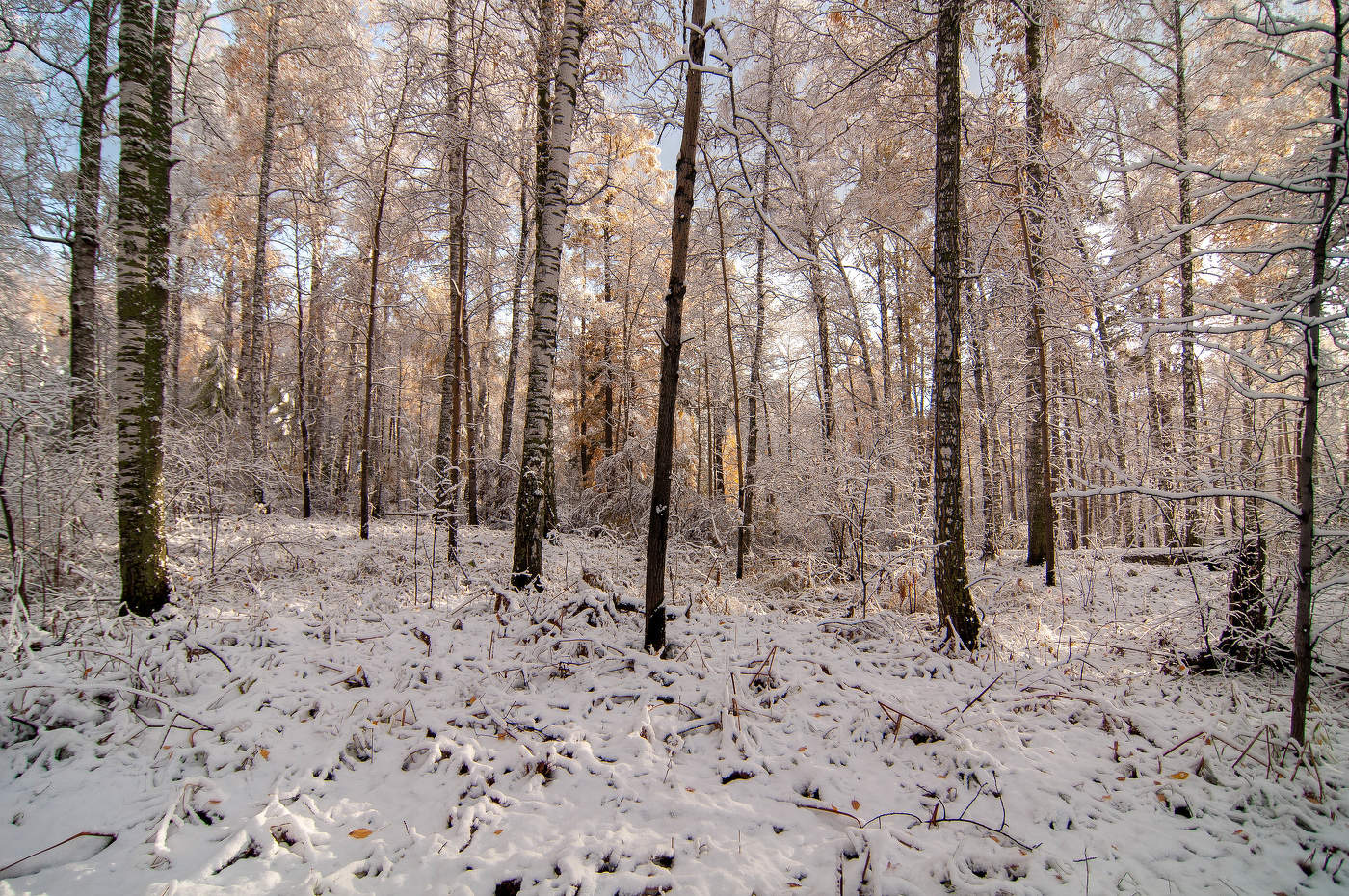В последний день сентября.
