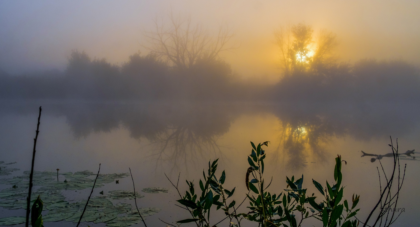 На рассвете затуманило.