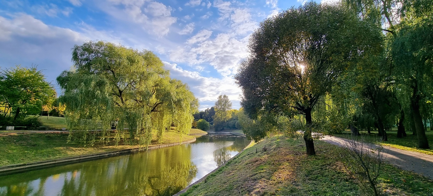 Осенняя прозрачность...