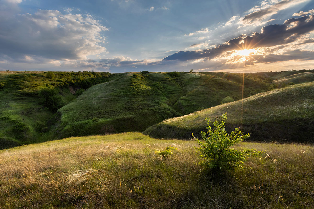 Степи глубокие морщины